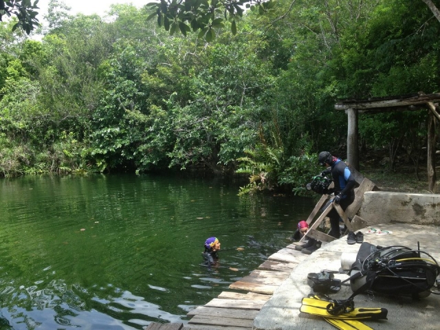  Diving in Cenotes 